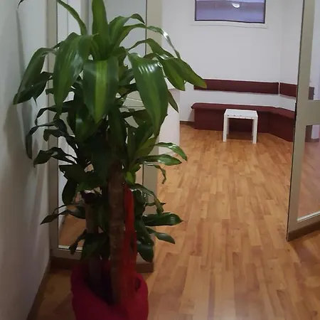 招待所 华夏 仙客来家庭宾馆 锡拉库扎